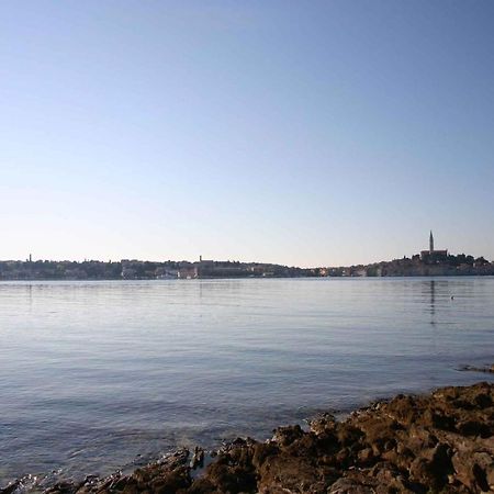 Apartment In Rovinj/Istrien 11533 Zewnętrze zdjęcie