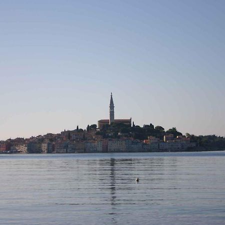 Apartment In Rovinj/Istrien 11533 Zewnętrze zdjęcie