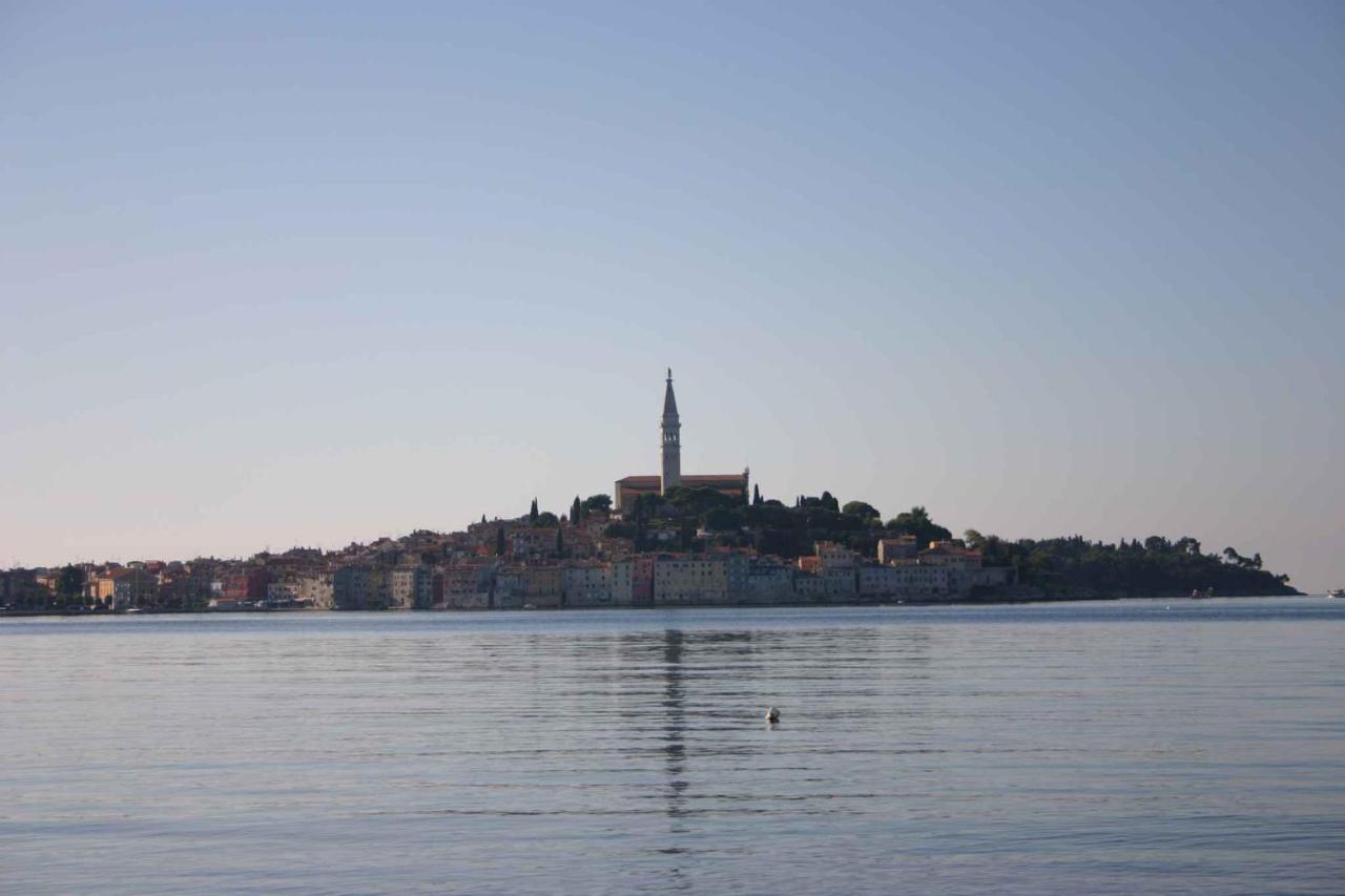Apartment In Rovinj/Istrien 11533 Zewnętrze zdjęcie